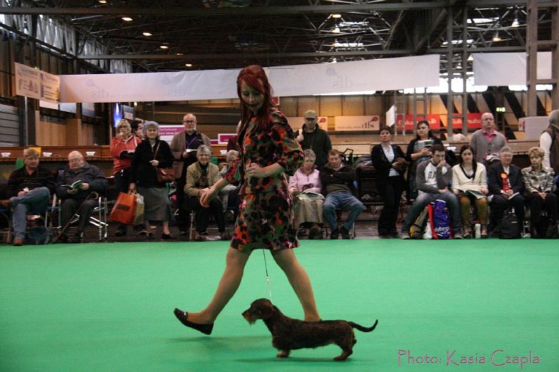 Crufts2011_2 1650.jpg